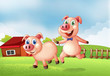 Two pigs at the farm