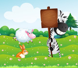 A zebra holding an empty wooden signboard at the hill