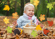 canvas print picture - herbstzeit