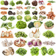 group of vegetables