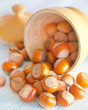 hazelnuts