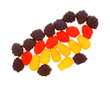 Fruit Flavor Snacks Group