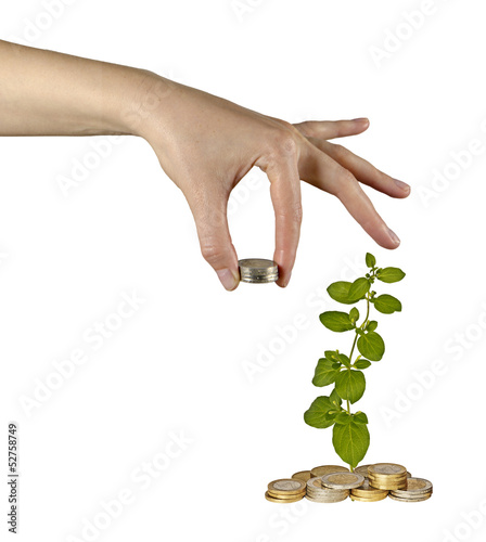 Photo: Investing to green business Investing to green business