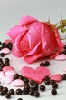 Photo: rose d' amour rose d' amour