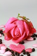 Photo: rose en love rose en love