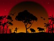 The bow hunting buffalo