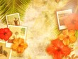 tropical background