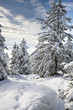 Schneeberg