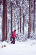 Photo: with snowshoes in a winter forest with snowshoes in a winter forest