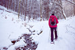 Photo: with snowshoes in a winter forest with snowshoes in a winter forest