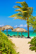 Varadero beach in Cuba with a coconut tree