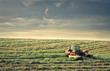 tractor