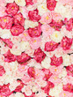 seamless pattern with flowers