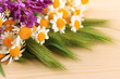Wild Flowers And Green Spikele... Wild Flowers And Green Spikele...