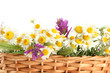 Beautiful Wild Flowers In Bask...