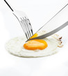 scrambled egg