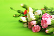 flowers carnation