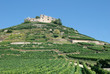 Foto: Burgruine Staufen im Markgräflerland im Schwarzwald Burgruine Staufen im Markgräflerland im Schwarzwald