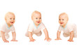 Three happy babies crawling and laughing.