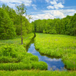 Brook And Meadow And Forest.