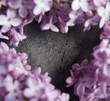 Lila mauve en forme de coeur