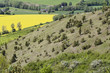 Foto: Landschaft am Hohen Dörnberg Landschaft am Hohen Dörnberg