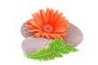 Foto: Gerbera und Steine Gerbera und Steine