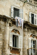 Dalmatian Windows
