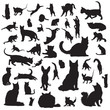 Collection of cat silhouettes