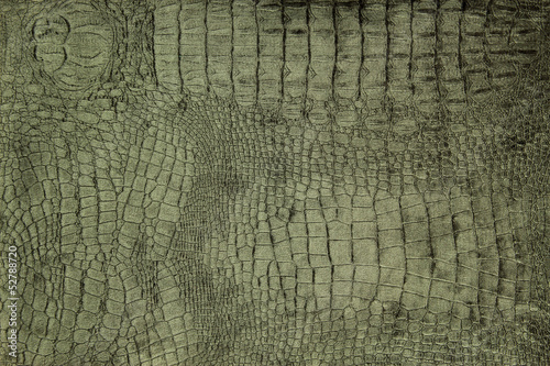 Photo: luxury crocodile texture or background luxury crocodile texture or background
