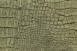luxury crocodile texture or background