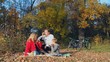 active recreation, picnic, happy family, autumn