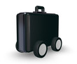 case on wheels