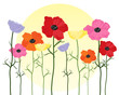 poppy background