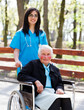 Foto: Walking With Senior Patient In Wheelchair Walking With Senior Patient In Wheelchair