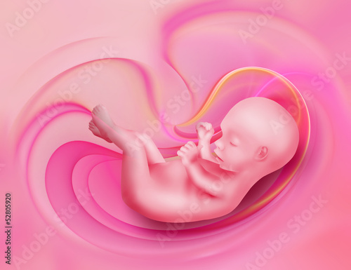 Illustration: embryo embryo