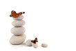 Foto: Balanced stones with butterfly Balanced stones with butterfly