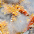 Abstract close up of moldy cooked food