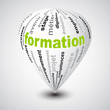Toupie Formation