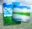 Green grass against a blue sunny sky