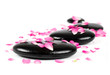 Spa stones with rose petals