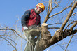 Loggers