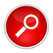 canvas print picture - search button rot