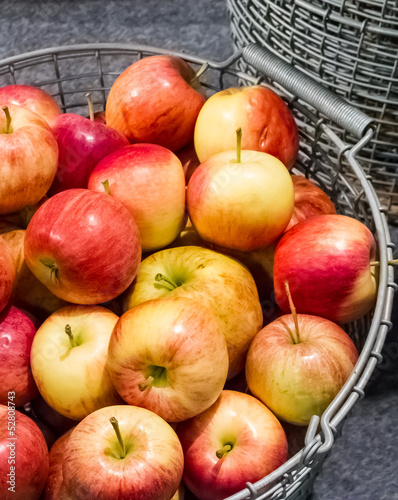Photo: Harvested red and yellow apples in steel basket. Harvested red and yellow apples in steel basket.