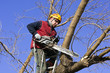 Photo: Lumbermen Lumbermen