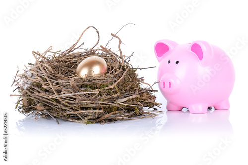 Photo: piggy golden egg piggy golden egg