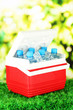 Picnic refrigerator with bottles of water and ice cubes on