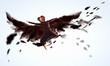 Woman floating   on dark wings