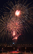 Beautiful fireworks in the night sky.
