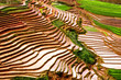Rice Terraces in Northern of Vietnam